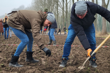 Besured bos planten actiefoto