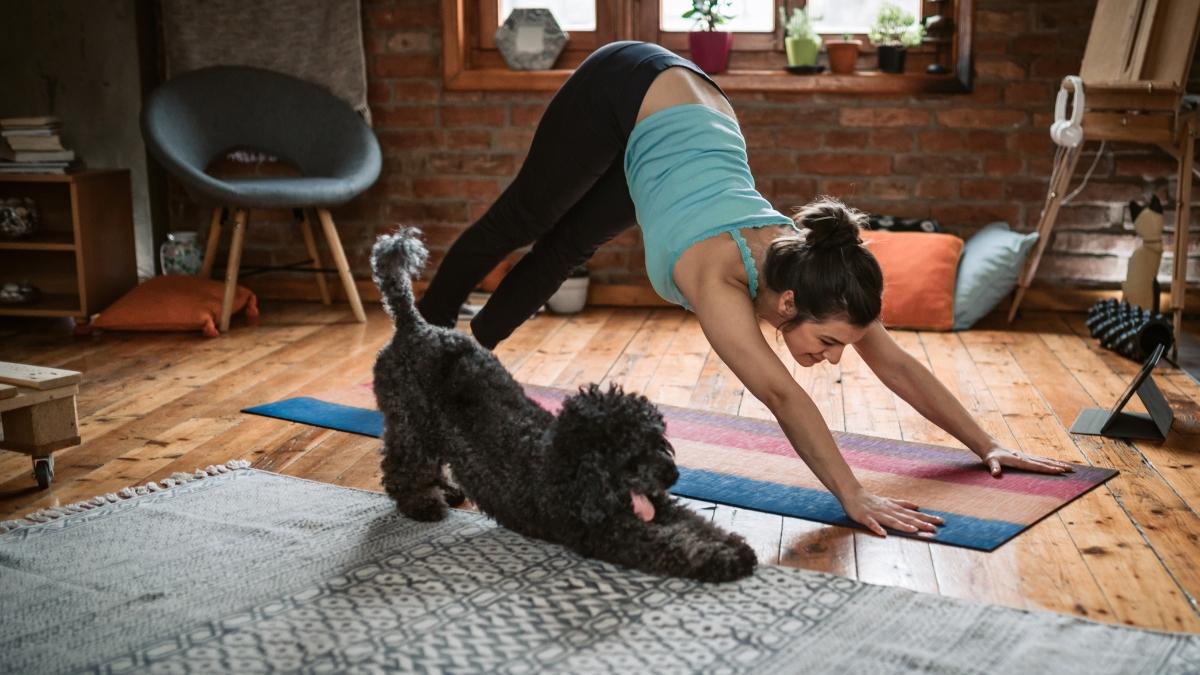 Yoga met hond Vrouw doet yoga in de woonkamer terwijl haar hond naast haar op de mat meedoet in een speelse houding.