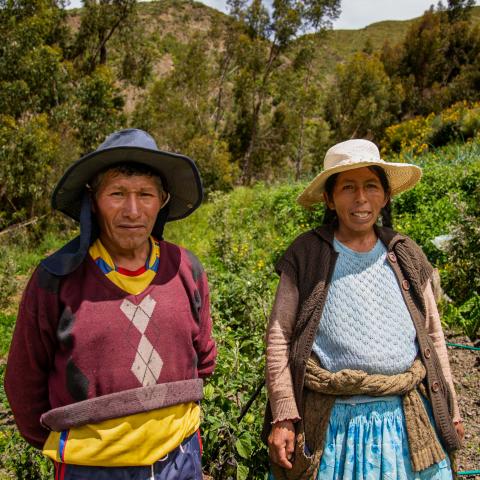 Boomplantproject Bolivia