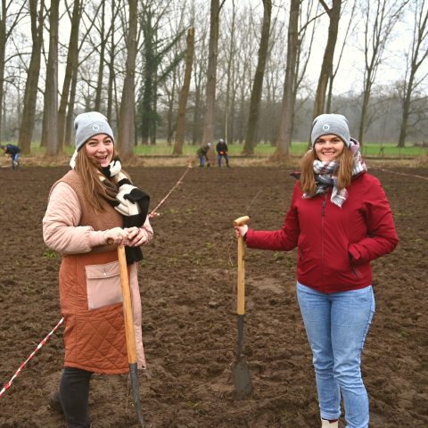 bomen planten besured groene woud