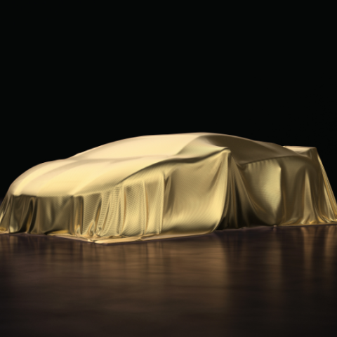 Wat is jouw droomauto of gouden koets?