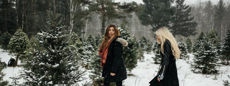 Duurzame kerstboom