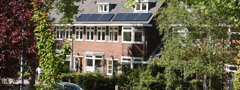 zonnepanelen op dak tussen bomen