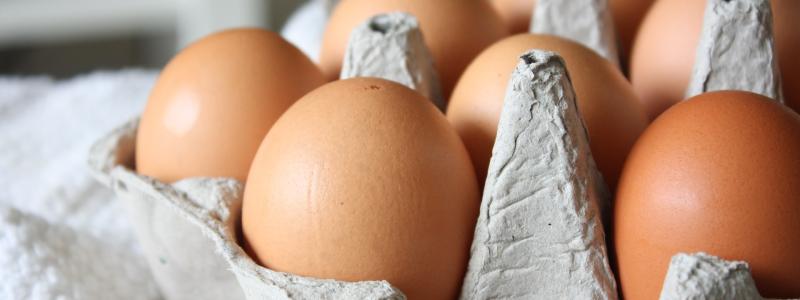 Houdbaarheid eieren: hoelang blijven eieren goed? 