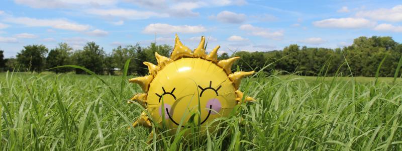 ballon zonnetje grasveld