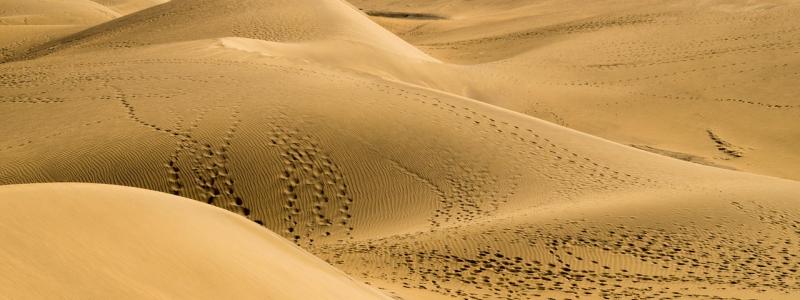 Gran Canaria zonbestemming Gran Canaria zonbestemming